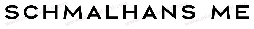 Schmalhans Medium字体转换